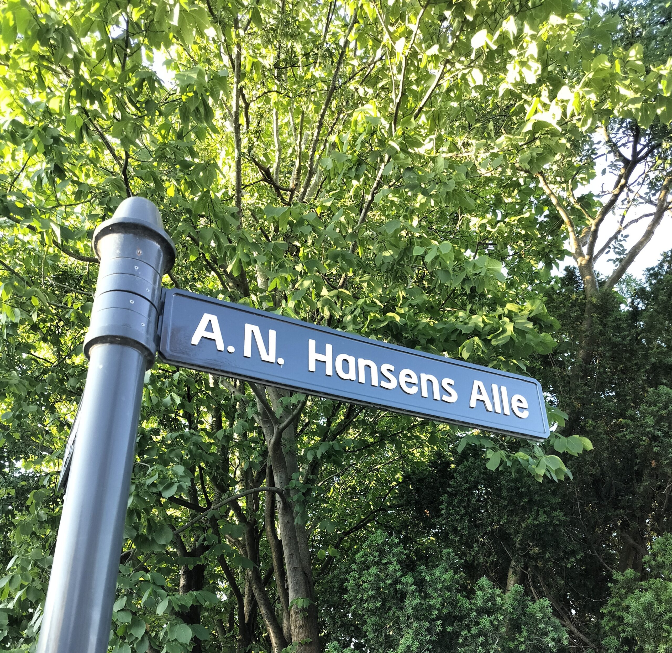 Vejskilt A.N. Hansens Alle, Hellerup
